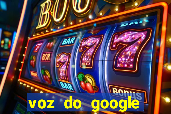 voz do google tradutor homem